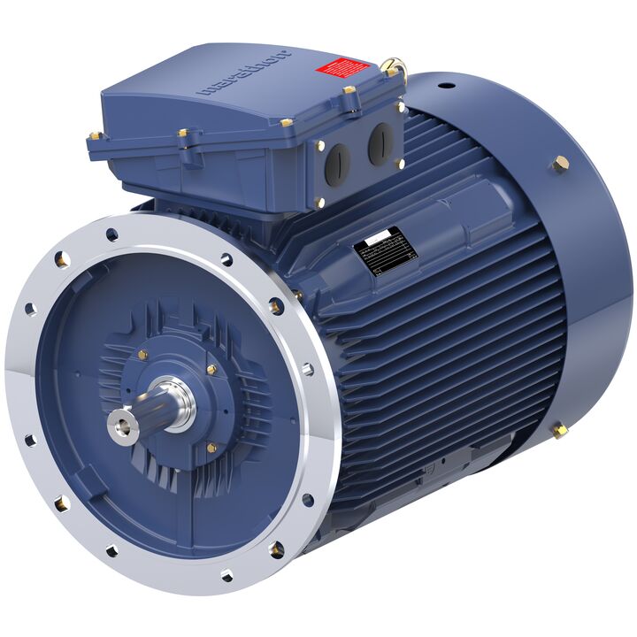 Increased Safety Motors Ex eb, Totally Enclosed Fan Cooled, 175 HP, 3 Ph, 50 Hz, 400 V, 2983 RPM, 315M Frame