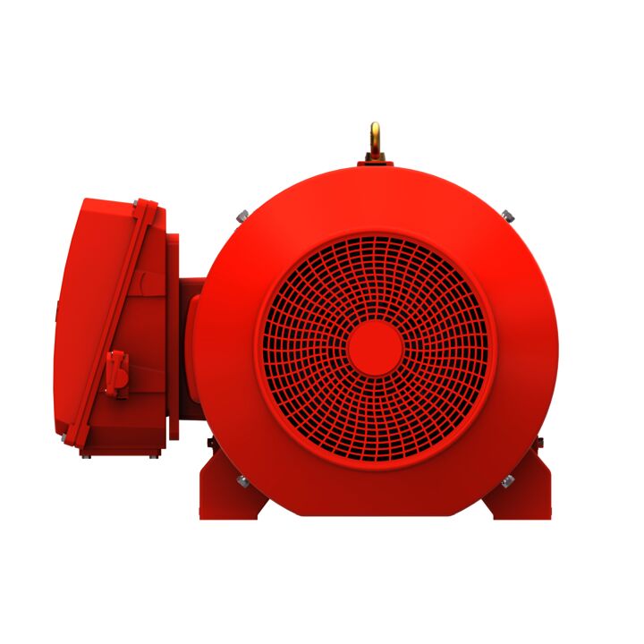 IE3, Mining Duty Motors, 200 kW, 3Ph, 8 Pole, 400/690V, B3, 50Hz, 355L Frame, TEFC