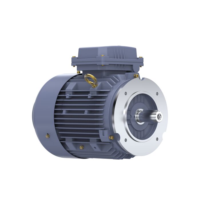 Cast Iron Motor, 4 HP, 3 Ph, 50 Hz, 400 V, 3000 RPM, 100L Frame, TEFC