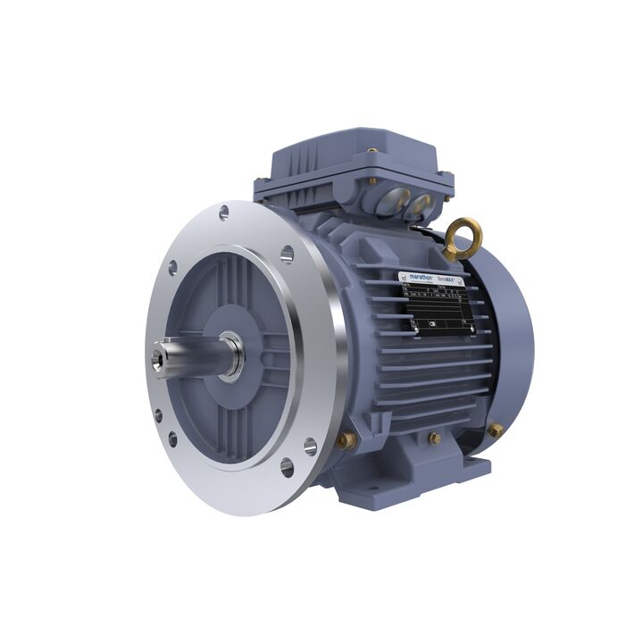 Cast Iron Motor, 5.50 HP, 3 Ph, 50 Hz, 400 V, 1500 RPM, 112M Frame, TEFC