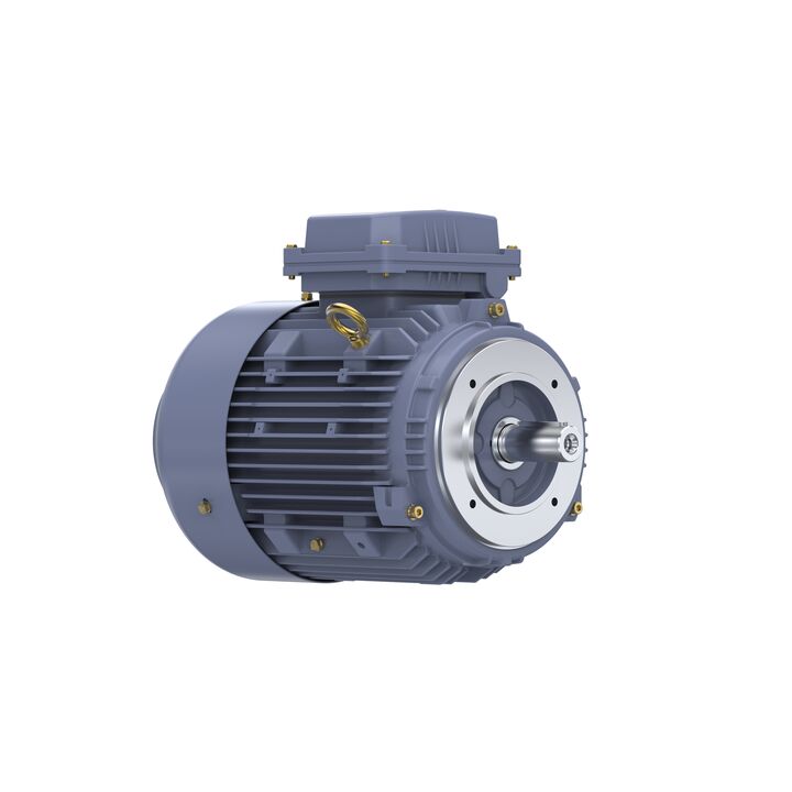 Cast Iron Motor, 4 HP, 3 Ph, 50 Hz, 400 V, 3000 RPM, 100L Frame, TEFC
