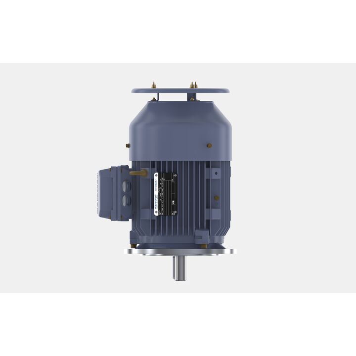 Cast Iron Motor, 4 HP, 3 Ph, 50 Hz, 400 V, 1500 RPM, 100L Frame, TEFC