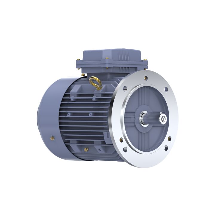 Cast Iron Motor, 4 HP, 3 Ph, 50 Hz, 400 V, 1500 RPM, 100L Frame, TEFC