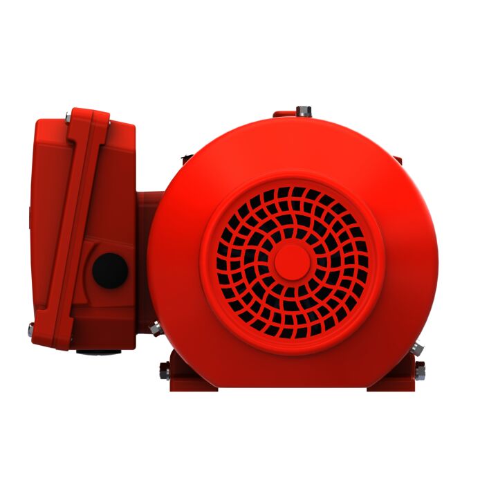 IE3, Mining Duty Motors, 0.75 kW, 3Ph, 4 Pole, 230/400V, B3, 50Hz, 80M Frame, TEFC