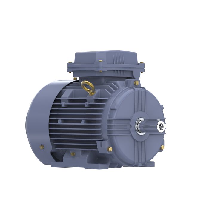 Cast Iron Motor, 4 HP, 3 Ph, 50 Hz, 400 V, 1500 RPM, 100L Frame, TEFC