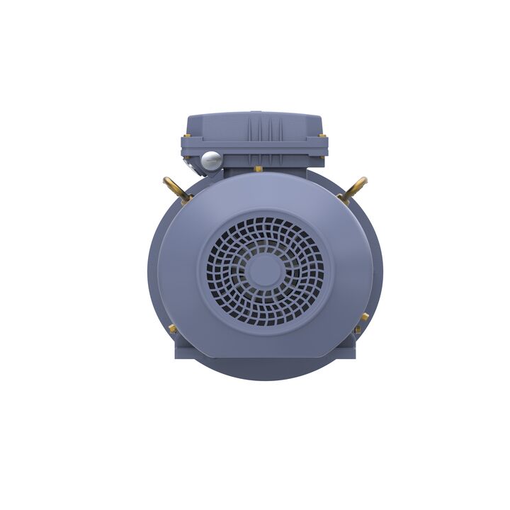 Cast Iron Motor, 4 HP, 3 Ph, 50 Hz, 400 V, 1500 RPM, 100L Frame, TEFC