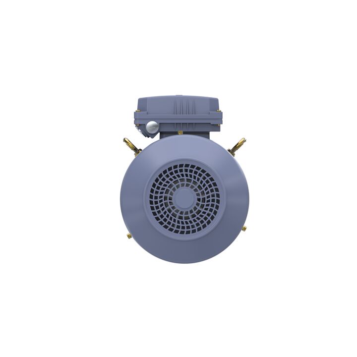Cast Iron Motor, 4 HP, 3 Ph, 50 Hz, 400 V, 3000 RPM, 100L Frame, TEFC