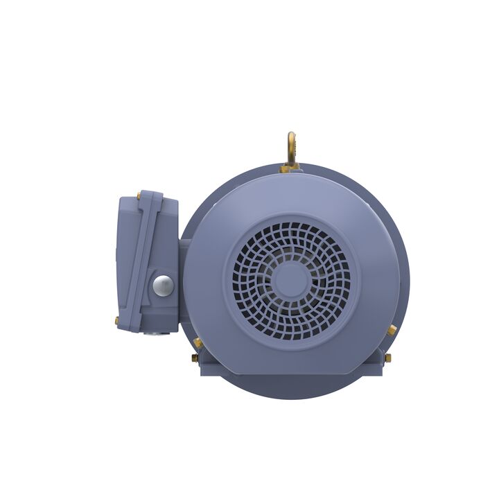 Cast Iron Motor, 4 HP, 3 Ph, 50 Hz, 400 V, 3000 RPM, 100L Frame, TEFC