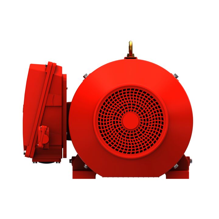 IE3, Mining Duty Motors, 55 kW, 3Ph, 2 Pole, 400/690V, B3, 50Hz, 250M Frame, TEFC