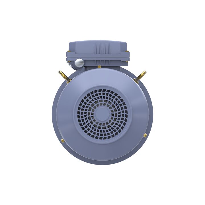 Cast Iron Motor, 4 HP, 3 Ph, 50 Hz, 400 V, 1500 RPM, 100L Frame, TEFC