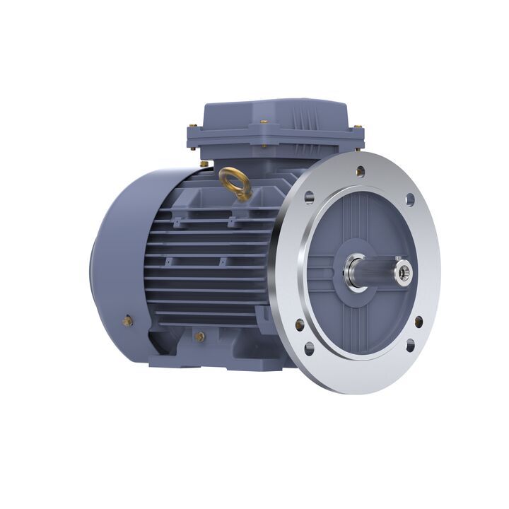 Cast Iron Motor, 4 HP, 3 Ph, 50 Hz, 400 V, 1500 RPM, 100L Frame, TEFC