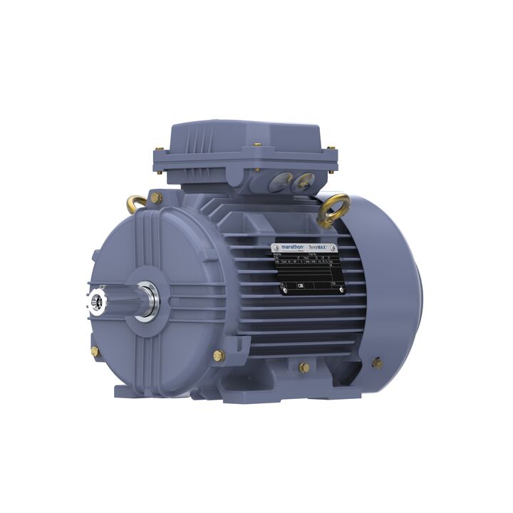 Cast Iron Motor, 4 HP, 3 Ph, 50 Hz, 400 V, 1500 RPM, 100L Frame, TEFC