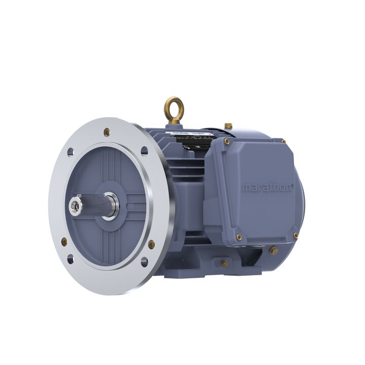 Cast Iron Motor, 4 HP, 3 Ph, 50 Hz, 400 V, 3000 RPM, 100L Frame, TEFC