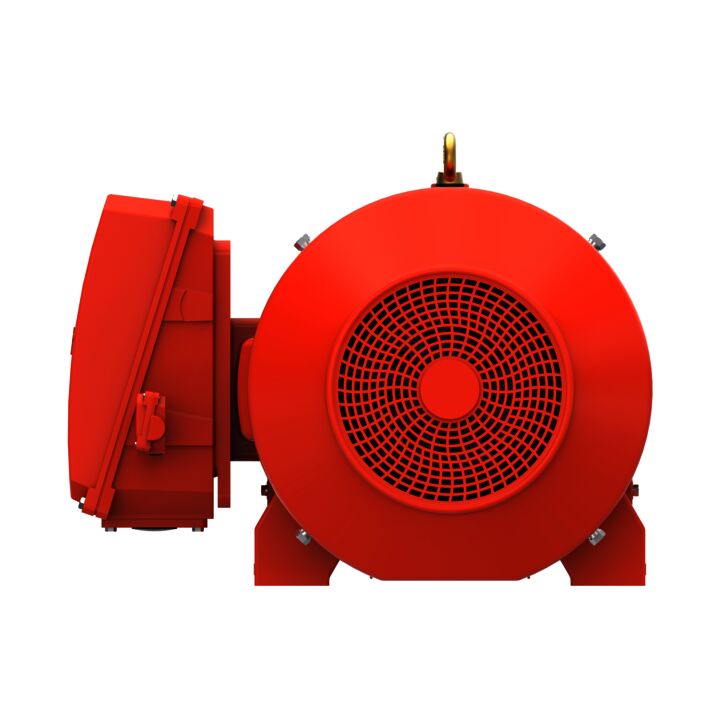 IE3, Mining Duty Motors, 200 kW, 3Ph, 4 Pole, 400/690V, B3, 50Hz, 315L Frame, TEFC