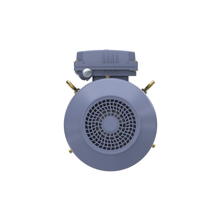Cast Iron Motor, 4 HP, 3 Ph, 50 Hz, 400 V, 3000 RPM, 100L Frame, TEFC