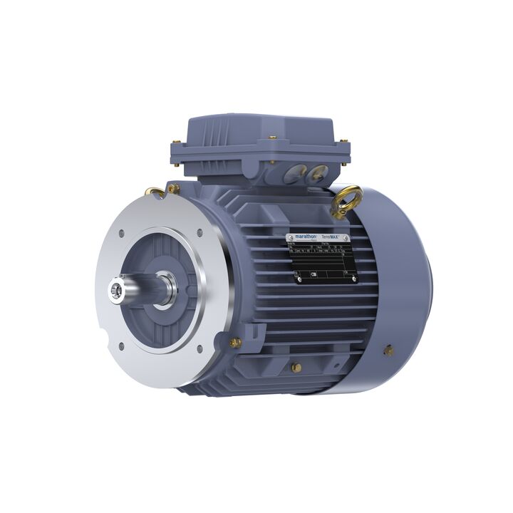 Cast Iron Motor, 4 HP, 3 Ph, 50 Hz, 400 V, 3000 RPM, 100L Frame, TEFC