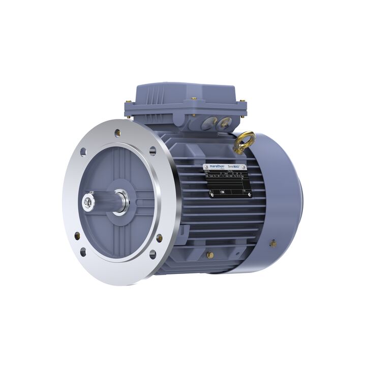 Cast Iron Motor, 4 HP, 3 Ph, 50 Hz, 400 V, 1500 RPM, 100L Frame, TEFC