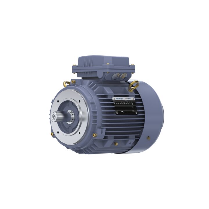 Cast Iron Motor, 4 HP, 3 Ph, 50 Hz, 400 V, 3000 RPM, 100L Frame, TEFC