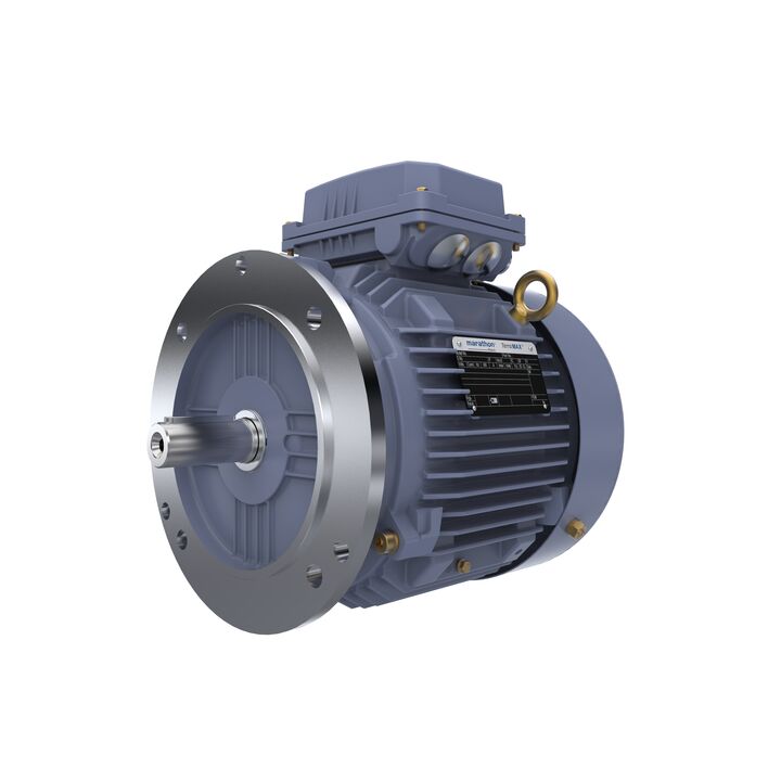 Cast Iron Motor, 5.50 HP, 3 Ph, 50 Hz, 400 V, 3000 RPM, 112M Frame, TEFC