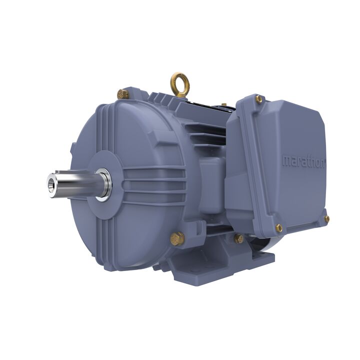 Cast Iron Motor, 5.50 HP, 3 Ph, 50 Hz, 400 V, 3000 RPM, 112M Frame, TEFC