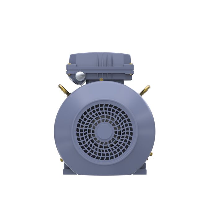 Cast Iron Motor, 4 HP, 3 Ph, 50 Hz, 400 V, 1500 RPM, 100L Frame, TEFC