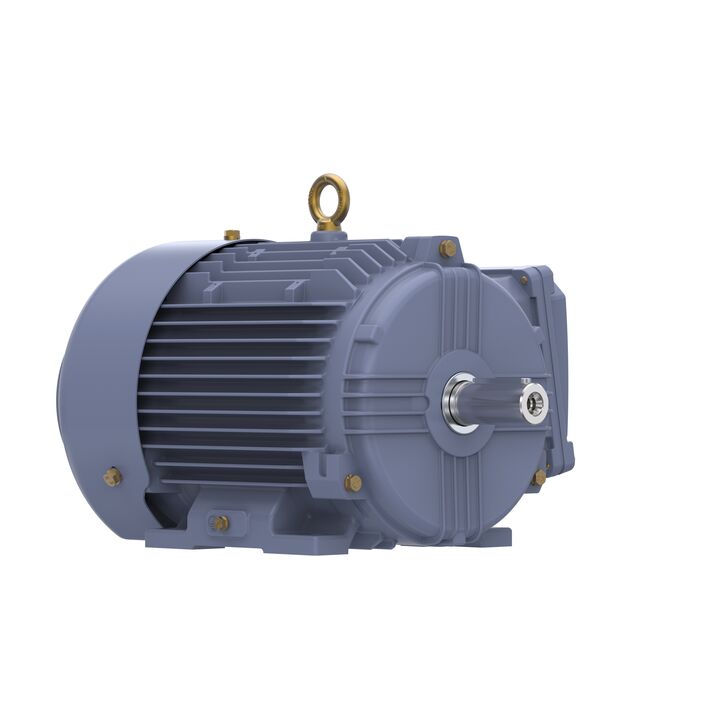 Cast Iron Motor, 4 HP, 3 Ph, 50 Hz, 400 V, 1500 RPM, 100L Frame, TEFC