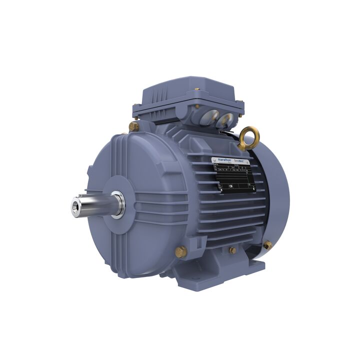 Cast Iron Motor, 3 HP, 3 Ph, 50 Hz, 400 V, 1000 RPM, 112M Frame, TEFC