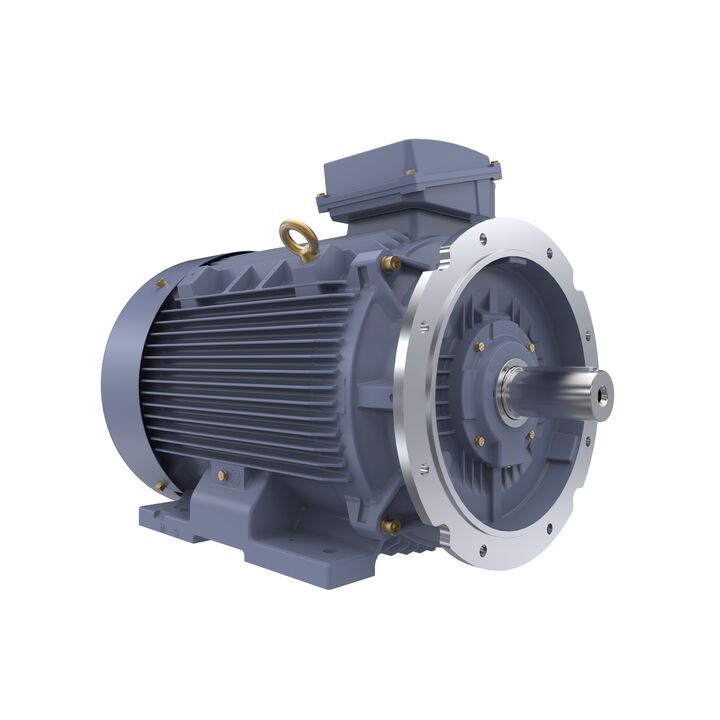 Cast Iron Motor, 75 HP, 3 Ph, 50 Hz, 400 V, 1000 RPM, 280M Frame, TEFC