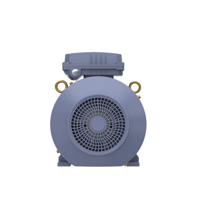 Cast Iron Motor, 10 HP, 3 Ph, 50 Hz, 400 V, 1500 RPM, 132M Frame, TEFC