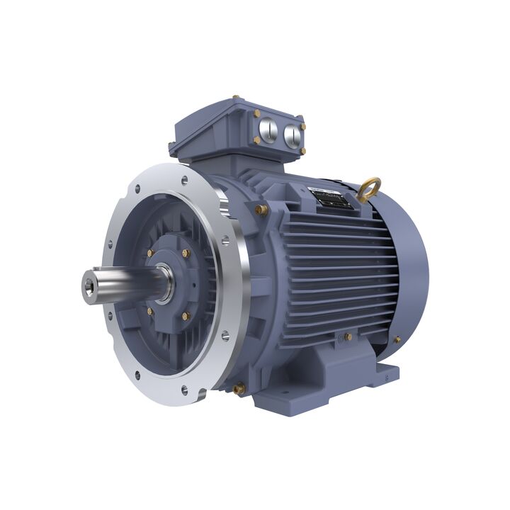 Cast Iron Motor, 25 HP, 3 Ph, 50 Hz, 400 V, 750 RPM, 225S Frame, TEFC