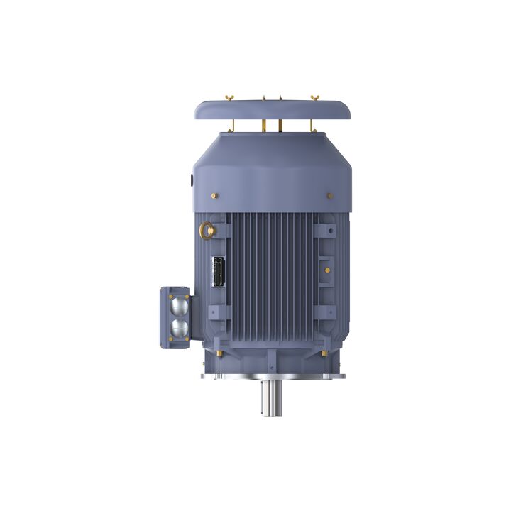 Cast Iron Motor, 100 HP, 3 Ph, 50 Hz, 400 V, 1500 RPM, 280S Frame, TEFC