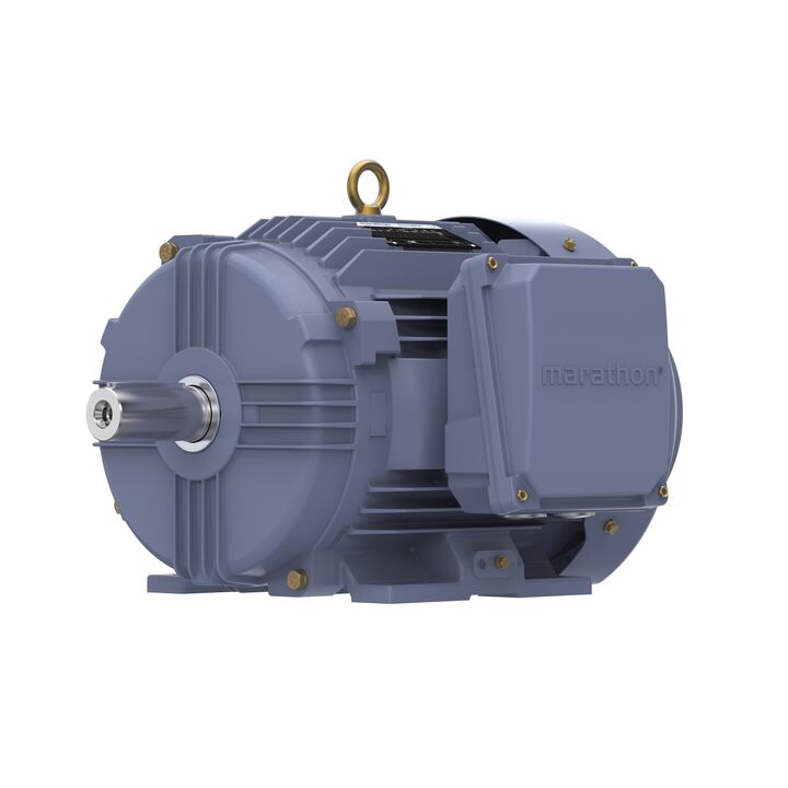 Cast Iron Motor, 7.50 HP, 3 Ph, 50 Hz, 400 V, 1000 RPM, 132M Frame, TEFC