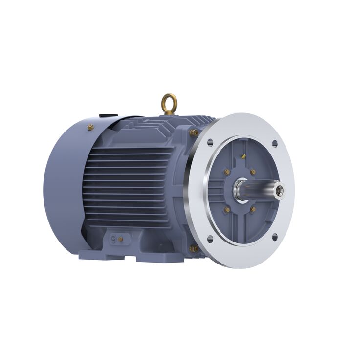 Cast Iron Motor, 10 HP, 3 Ph, 50 Hz, 400 V, 750 RPM, 160L Frame, TEFC