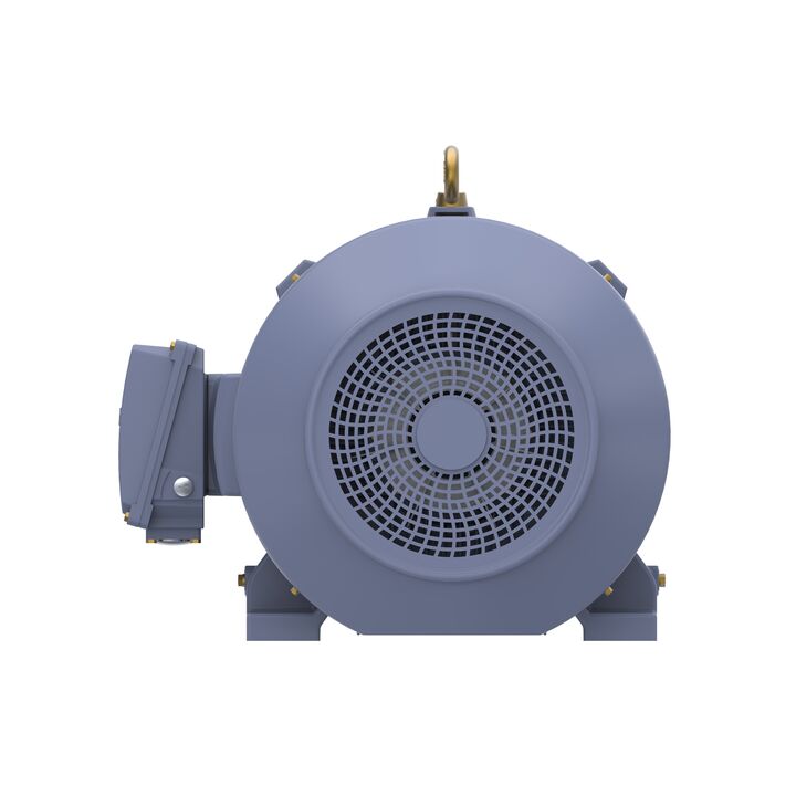 Cast Iron Motor, 75 HP, 3 Ph, 50 Hz, 400 V, 1000 RPM, 280M Frame, TEFC