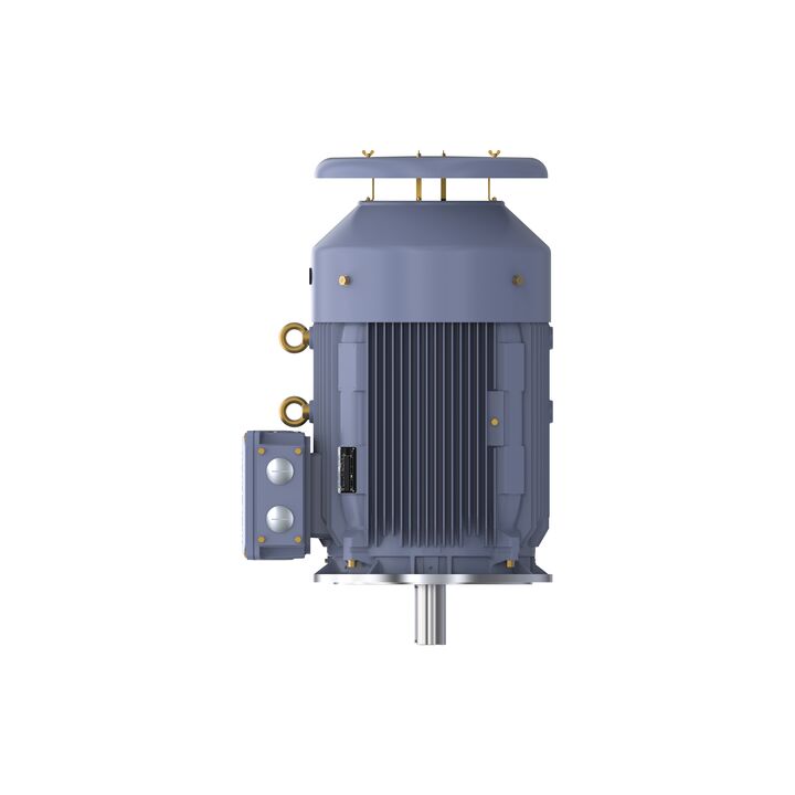 Cast Iron Motor, 150 HP, 3 Ph, 50 Hz, 400 V, 3000 RPM, 315S Frame, TEFC