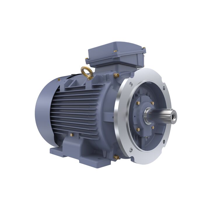 Cast Iron Motor, 25 HP, 3 Ph, 50 Hz, 400 V, 1000 RPM, 200L Frame, TEFC