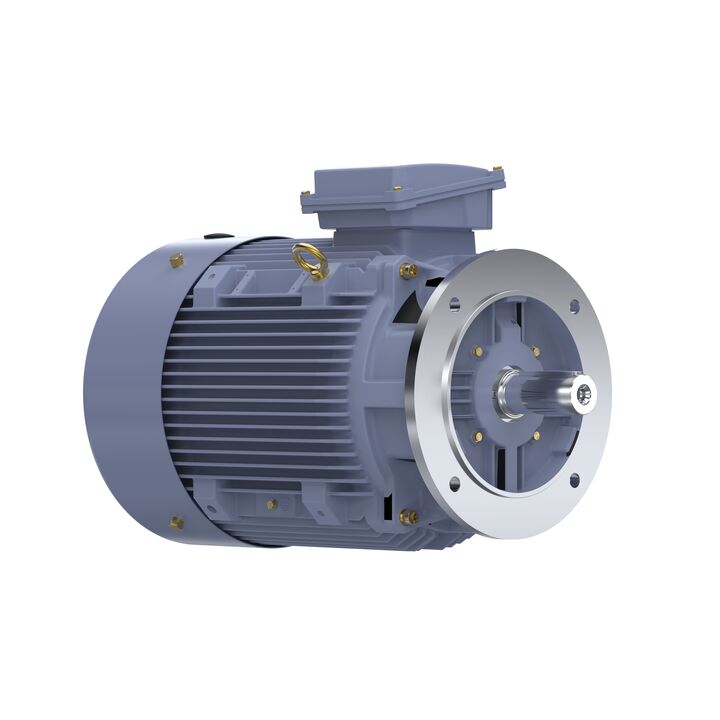 Cast Iron Motor, 15 HP, 3 Ph, 50 Hz, 400 V, 750 RPM, 180L Frame, TEFC