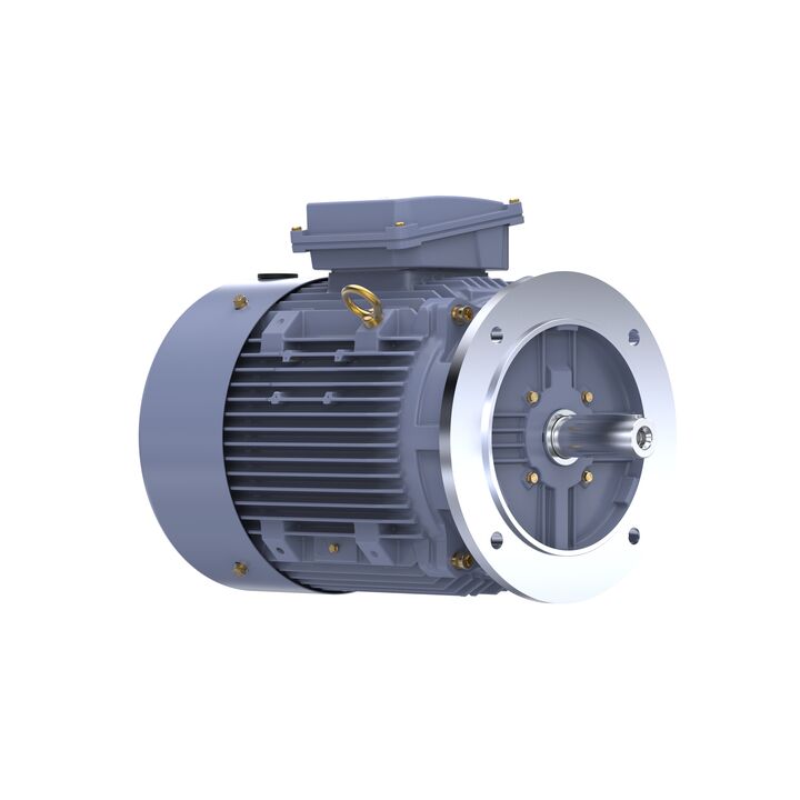 Cast Iron Motor, 15 HP, 3 Ph, 50 Hz, 400 V, 1000 RPM, 160L Frame, TEFC