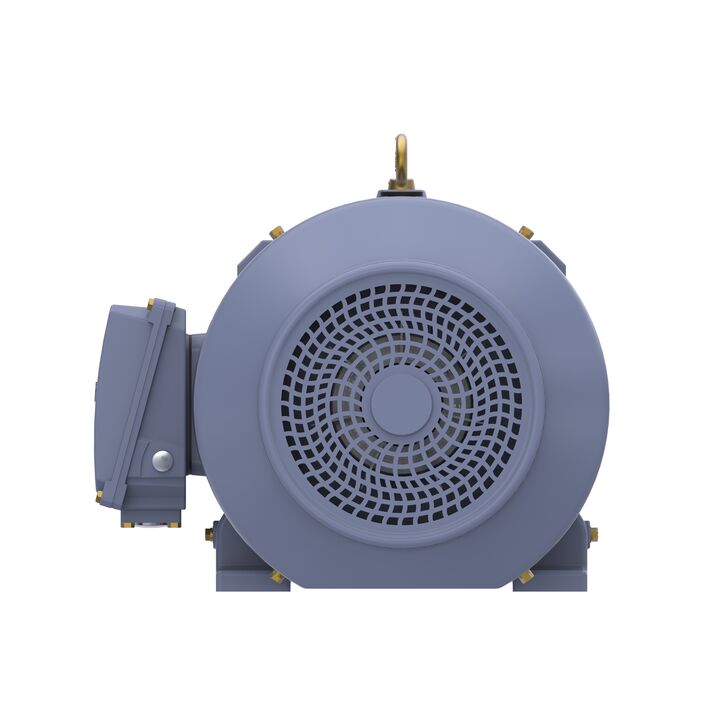 Cast Iron Motor, 25 HP, 3 Ph, 50 Hz, 400 V, 1000 RPM, 200L Frame, TEFC