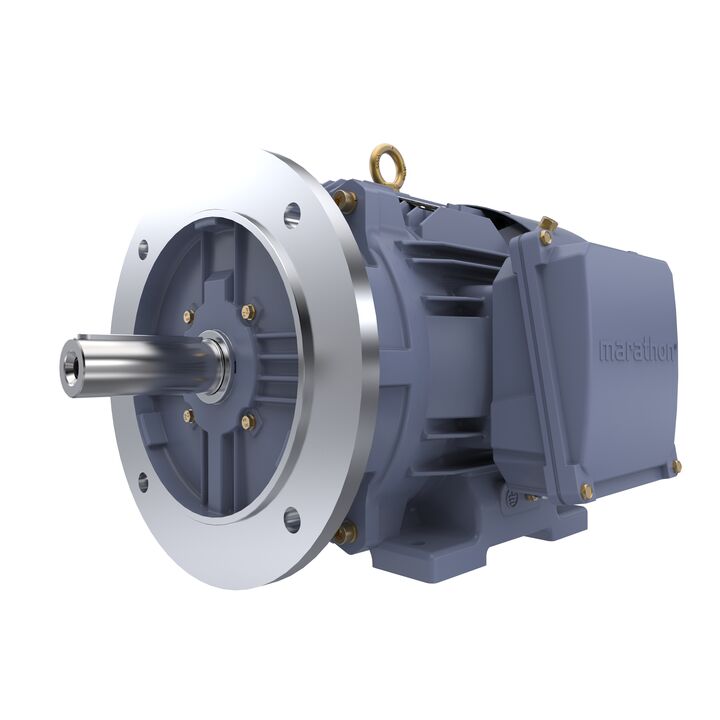 Cast Iron Motor, 15 HP, 3 Ph, 50 Hz, 400 V, 1500 RPM, 160M Frame, TEFC