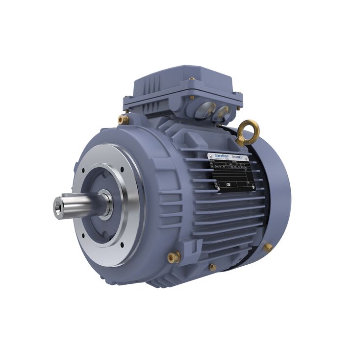 Cast Iron Motor, 5.50 HP, 3 Ph, 50 Hz, 400 V, 3000 RPM, 112M Frame, TEFC