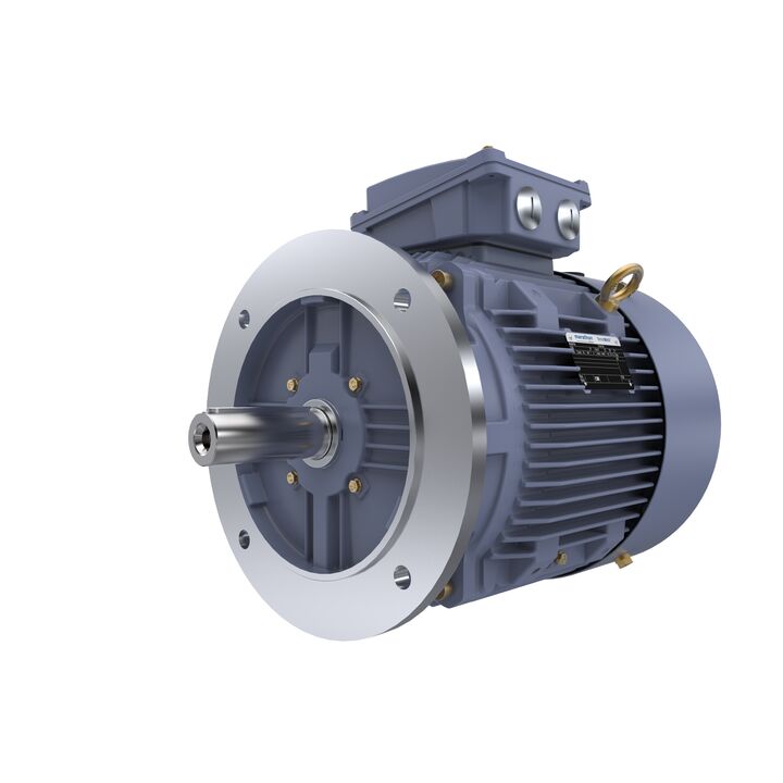 Cast Iron Motor, 15 HP, 3 Ph, 50 Hz, 400 V, 1500 RPM, 160M Frame, TEFC