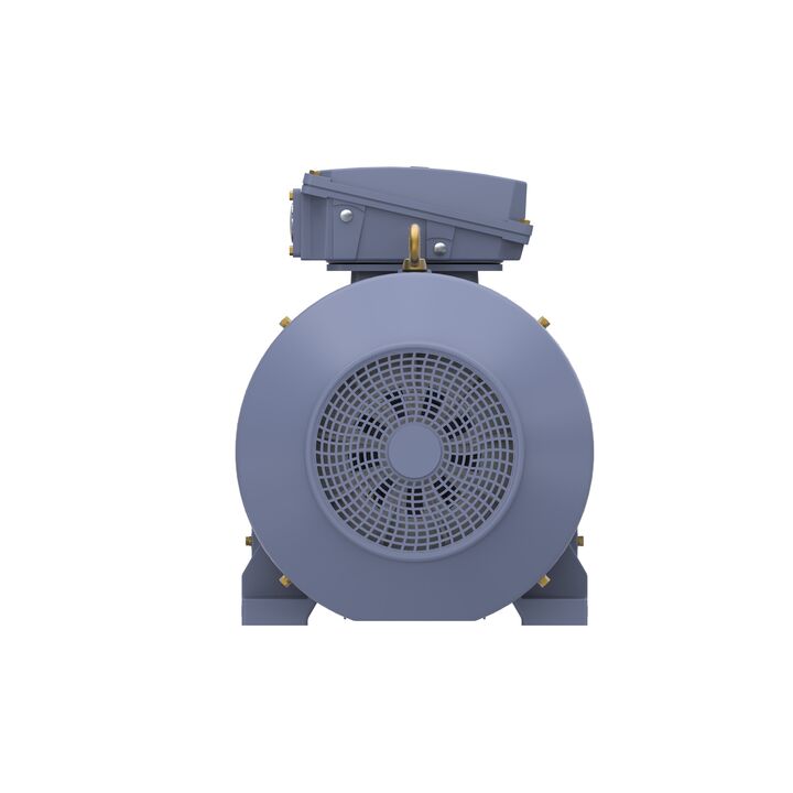 Cast Iron Motor, 150 HP, 3 Ph, 50 Hz, 400 V, 1500 RPM, 315S Frame, TEFC