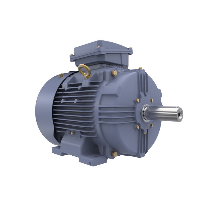 Cast Iron Motor, 15 HP, 3 Ph, 50 Hz, 400 V, 1500 RPM, 160M Frame, TEFC