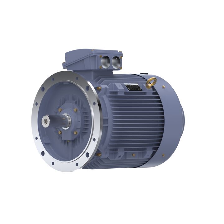 Cast Iron Motor, 75 HP, 3 Ph, 50 Hz, 400 V, 1500 RPM, 250M Frame, TEFC