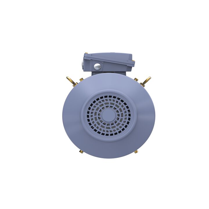 Cast Iron Motor, 15 HP, 3 Ph, 50 Hz, 400 V, 1000 RPM, 160L Frame, TEFC