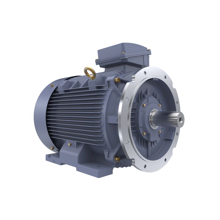 Cast Iron Motor, 100 HP, 3 Ph, 50 Hz, 400 V, 3000 RPM, 280S Frame, TEFC