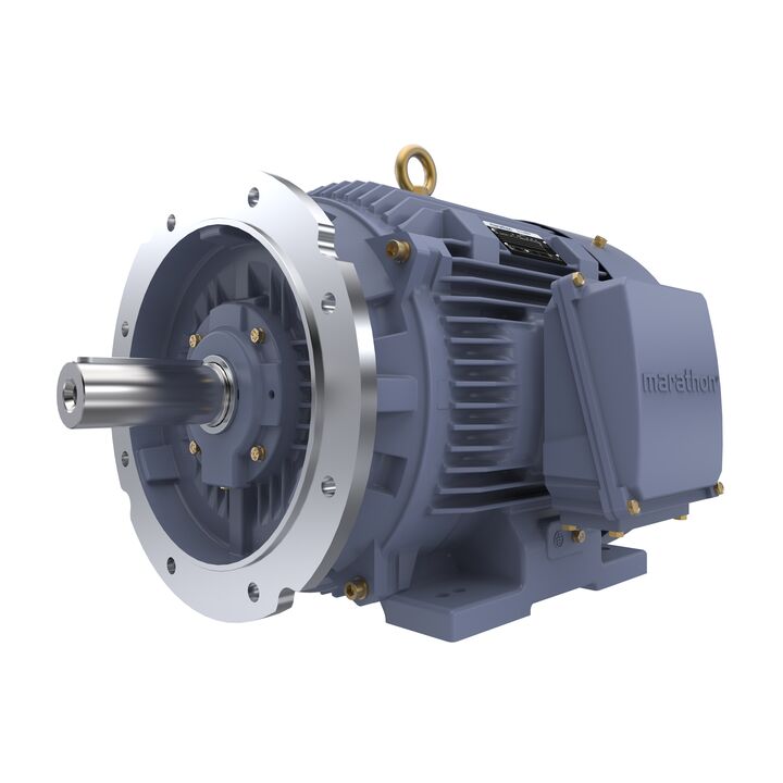 Cast Iron Motor, 25 HP, 3 Ph, 50 Hz, 400 V, 750 RPM, 225S Frame, TEFC Cast Iron Motor, 25 HP, 3 Ph, 50 Hz, 400 V, 750 RPM, 225S Frame, TEFC