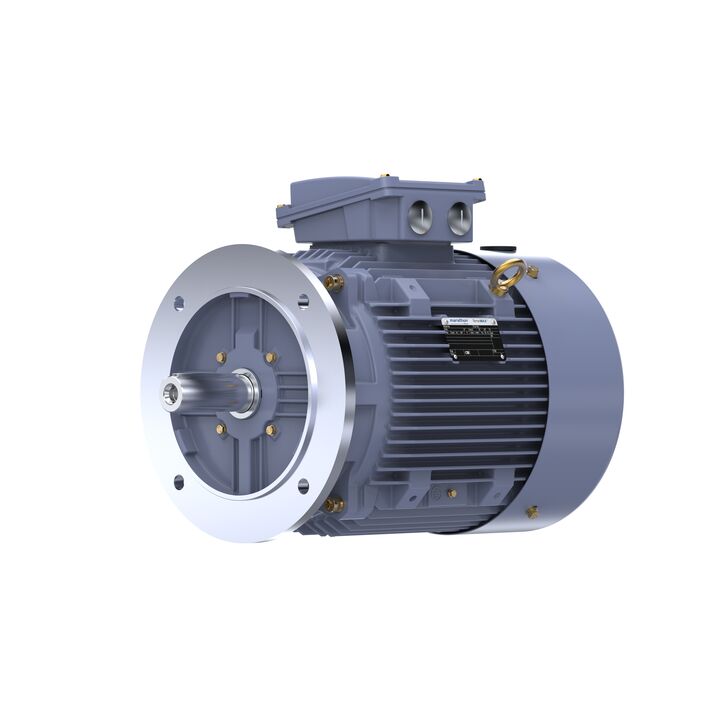 Cast Iron Motor, 15 HP, 3 Ph, 50 Hz, 400 V, 1000 RPM, 160L Frame, TEFC