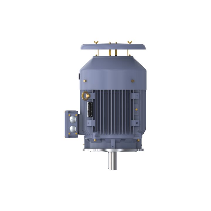 Cast Iron Motor, 25 HP, 3 Ph, 50 Hz, 400 V, 750 RPM, 225S Frame, TEFC